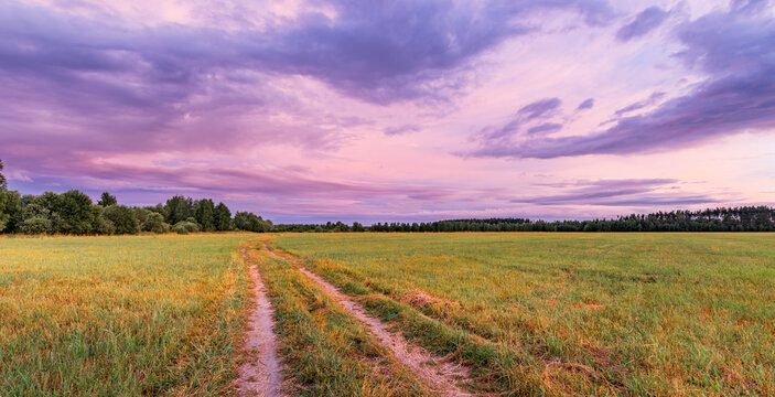 Grassy meadow with twin tire tracks beneath glowing pink and purple sunset clouds