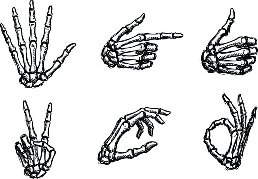 Skeleton hand gestures set showing various poses like pointing victory sign and thumb up black ink sketch vector illustration design