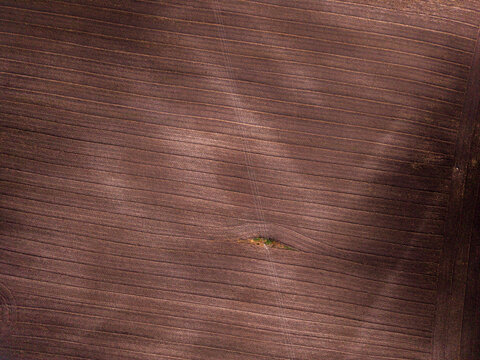 Aerial view of a large, plowed agricultural field with distinct furrows and a small patch of green vegetation in the center in Veiveriai, Kaunas County, Lithuania.