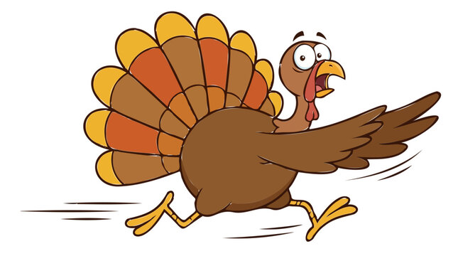 Funny running turkey cartoon character, scared thanksgiving turkey bird escaping, humorous autumn holiday vector illustration on white background