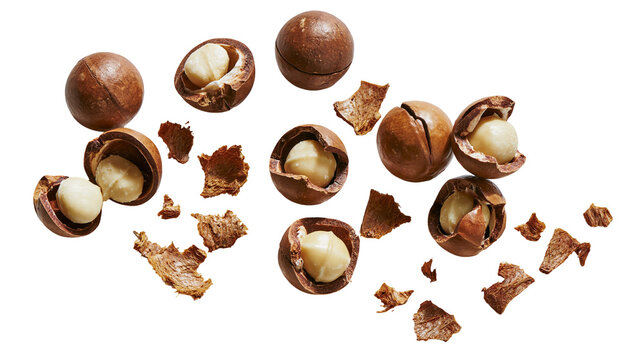 Isolated macadamia nuts, whole, cracked with visible kernels and scattered shell pieces