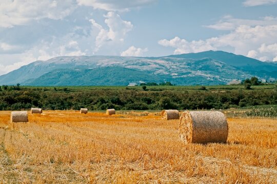 A wide landscape shot showing multiple round straw bales spread across a golden stubble field beneath a mountain range and cloudy blue sky