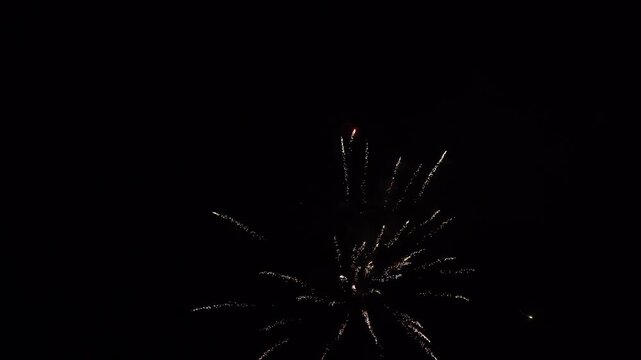 Bright White Firework Burst Against Dark Night Sky