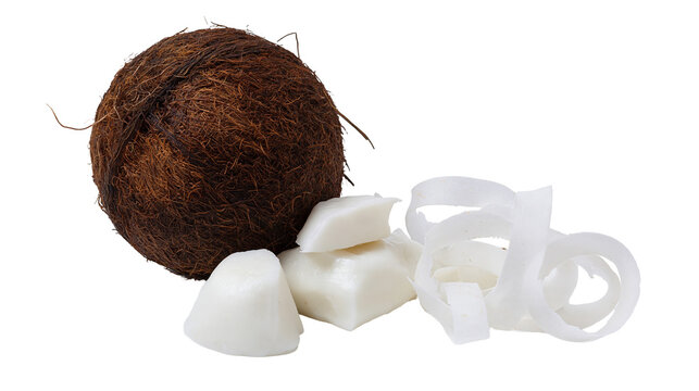Isolated whole organic brown coconut with fresh white coconut meat and delicious shavings