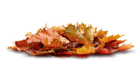 Obraz premium Autumn maple leaves pile isolated transparent background with shadows. Golden, orange, brown reflect freshness autumn season. fall autumn seasonal compositions and autumn concept backdrops.