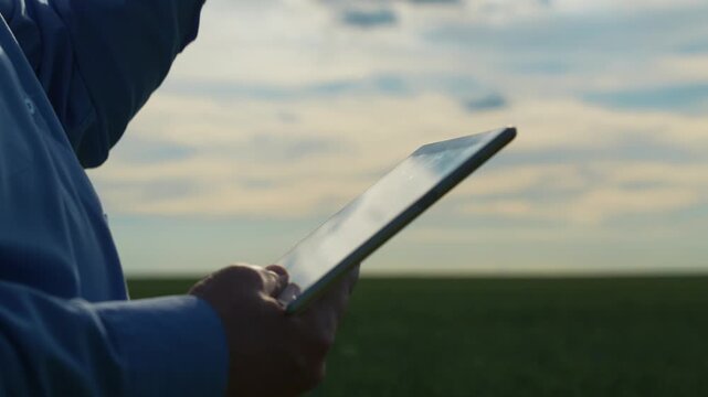 agriculture Precision farming inspection, Data-driven crop management, Sustainable agriculture practices, Innovative farming techniques, Tablet in agricultural work, Checking crops with technology