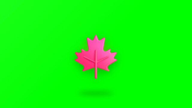 maple leaf on a green background