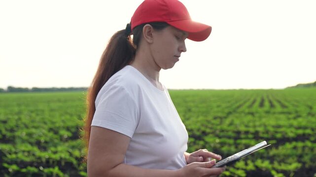 Agriculture, Farmer assesses crop progress, Using technology to boost yield, Monitoring plant growth digitally, Aerial view of fieldwork, Girl in boots walking in crop field, Rural digital lifestyle