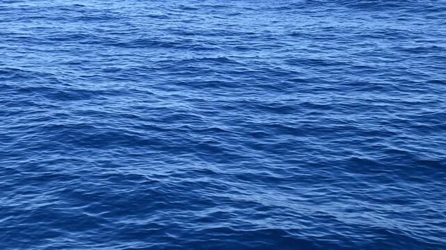 Rippling blue sea surface while the boat is moving