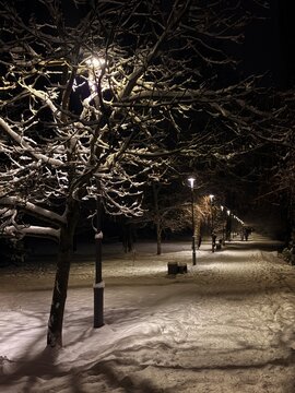 A scenic winter park path at night illuminated by glowing modern street lamps, with snow-covered trees and a dark night sky.