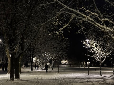 A serene winter park at night with snow-covered trees, glowing street lamps, and people walking on a snowy path under a dark sky.