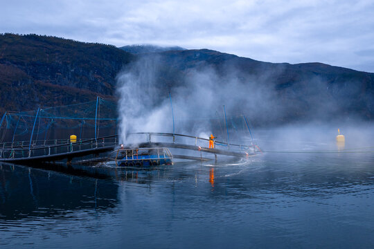 Aerial view of a worker in orange gear performing high-pressure washing on the underside of an aquaculture ring at a fish farm in a fjord in Liabygda, More og Romsdal, Norway.