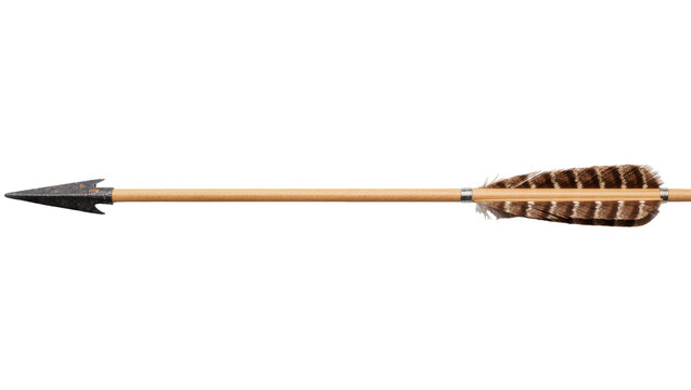 Medieval metal arrowhead on wooden shaft with feather fletching, isolated on transparent background