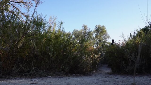 Back view of a young male athlete with a backpack running on a narrow dirt path. A lone trail runner jogging through dense vegetation under a clear blue sky