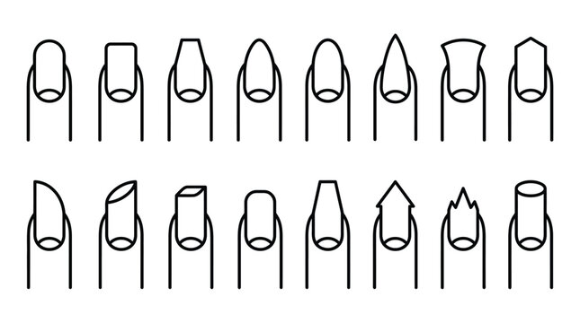 Set of various nail shapes and styles in a black and white line art illustration