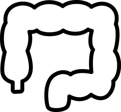 Colon and Large Intestine Line Icon for Human Organs and Medical Anatomy