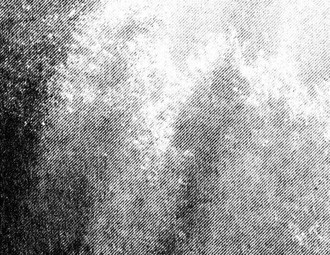 Soft blurred tree forms fade through atmospheric haze in a grainy monochrome halftone print.
