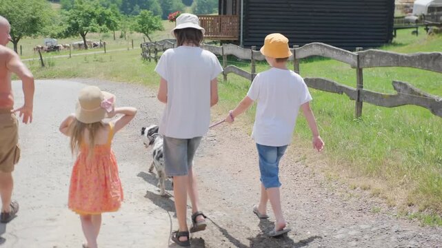 Two teenage boys and girl walking dogs leash country road forest summer day t-shirts shorts hats border collie Australian shepherd merle pet care outdoor activity youth friendship rural landscape