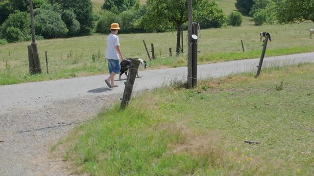 boy in yellow hat and white tshirt walking black and white border collie dog Country Road, summer day pet walking, outdoor adventure, approachability warmth, and unconditional love pets families