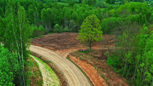 Aerial view of a winding dirt road cutting through a lush green forest with a cleared patch of land and a solitary tree in Latvia.