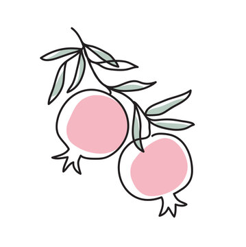 Branch with pomegranates and leaves. Shana Tova modern single line art drawing. Continuous line drawing. Outline draw design vector illustration