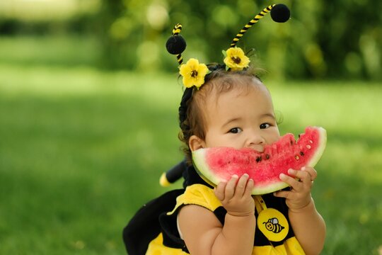 Cute Asian baby in bee costume eating fresh watermelon slice outdoors in park on sunny day