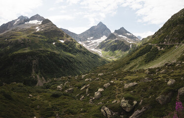 Scenic view over mountain valley with winding glacial river in Swiss Alps © hendrikwolter