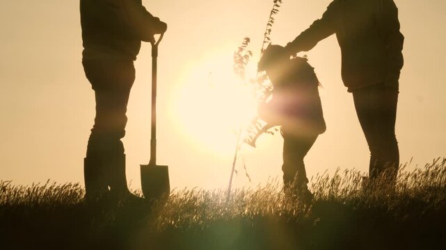 Family grows a tree, Planting for next generation, Value of teamwork, Evening countryside life, Bonding with nature, Educating through action, Little gardener learns, Parents teach responsibility, Act