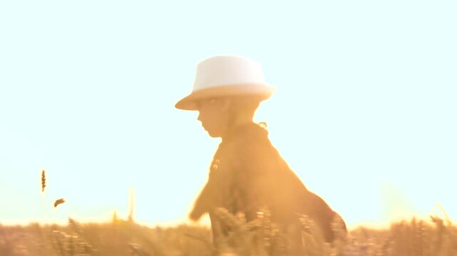 A little girl is walking through a field of wheat, touching the ears of wheat. The concept of agriculture. A small child in the sunshine of a wheat field. Happy family. people in the open air. A