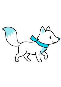 Cute cartoon arctic fox wearing a blue scarf walking on white background.