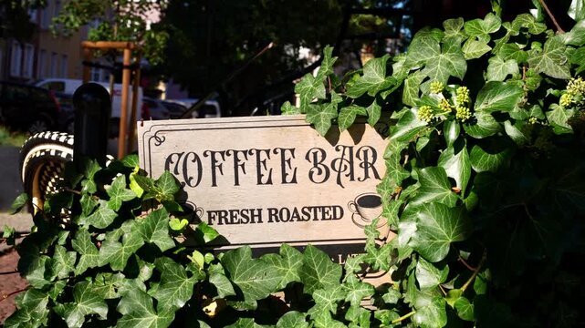 Coffee bar sign none in outdoor possibly in park or garden with coffee bar sign ivy leaves with wooden sign leaves texture from a close-up shot, from ground level perspective.