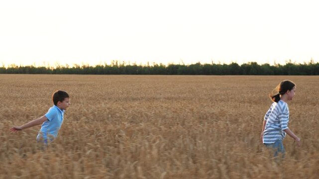 Active children rushing running across wheat meadow at sunset playing catch-up. Vigorous lively children sister brother boy girl fleeing through field. Feeling of carelessness carefreeness joy concept