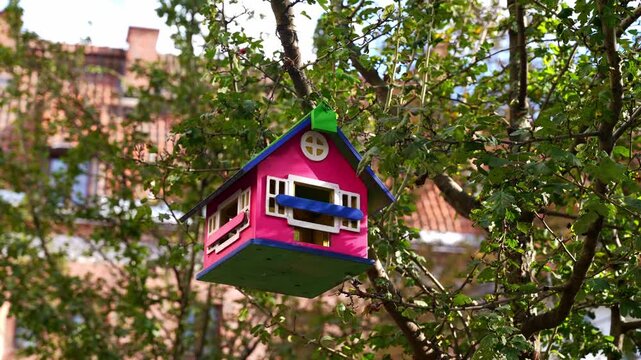 Colorful handmade bird feeder hanging from tree branch outdoor. Painted wooden feeder features bright decorative design and rustic craftsmanship surrounded by bark branches on blurred background