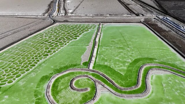 Aerial view of green rice paddy field with tai chi and bagua patterns