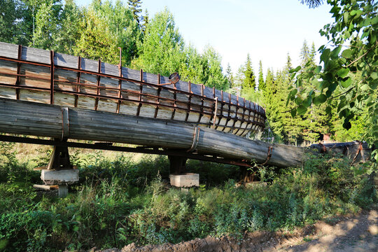 Wooden bobsleigh chute in summer in the forest on a clear sunny day. Sights of Russia, World tourism.