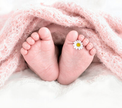 Two tiny feet peek from beneath a pink blanket, adorned with a delicate daisy on one toe for a whimsical touch