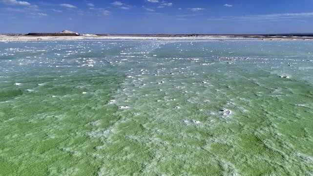 green salt lake water surface crystallization texture