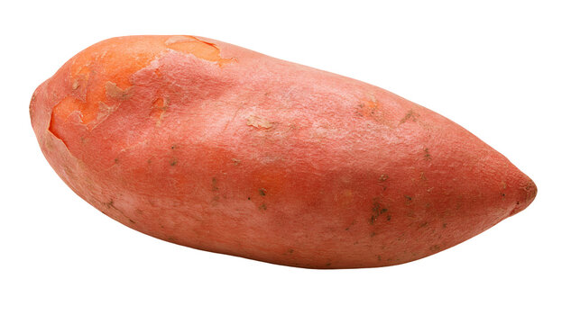 Orange sweet potato with rough skin, isolated on transparent background