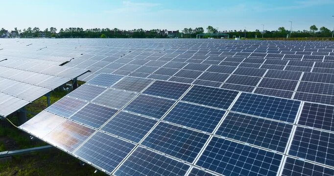 Rows of photovoltaic solar panels stretch across a field beneath a bright blue sky, with distant green trees bathed in clear daylight.