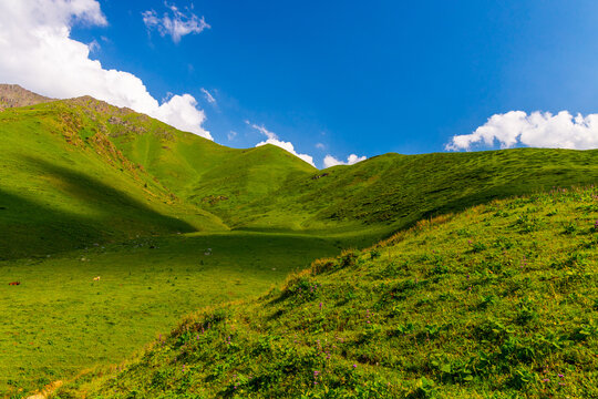 Lush Green Rolling Hills Under Blue Sky in Kyrgyzstan