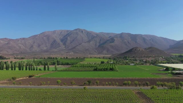 video campos de Los Andes 01
