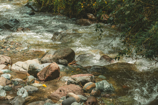 Clear stream flowing over smooth rocks through a dense green forest, showcasing natural freshwater scenery and a peaceful outdoor environment.