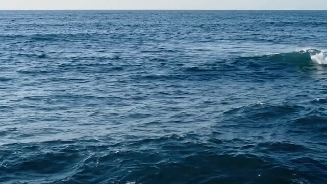 Deep blue ocean waves rolling in the open sea, serene marine background, with gentle white, foam and horizon line