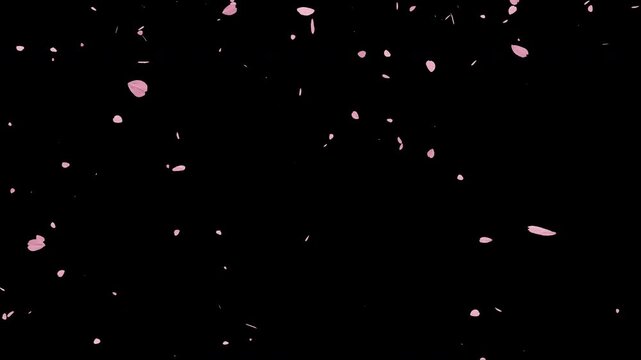 桜散るループ素材（舞い散る桜の花びら） アルファチャンネル・透過素材つき