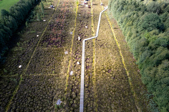 Aerial view of Sentier de la tourbiere winding through the peat bog landscape with wooden boardwalks surrounded by forest Les Ponts-de-Martel, Neuchatel, Switzerland.