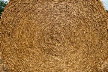 Golden hay bale in an agricultural field, natural circular texture, summer harvest, organic farming, rural countryside, rustic background, sustainable farm, authentic nature © rikstock
