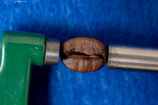 Measurement of the size of a roasted coffee bean using a high-precision instrument, a micrometer.