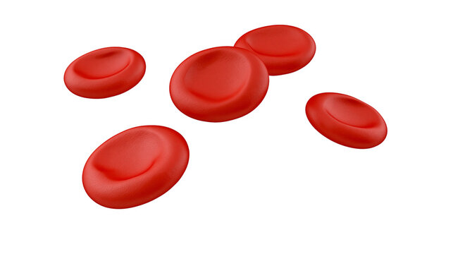 Isolated red blood cells, a detailed microscopic view of human blood cells vital for oxygen transport.