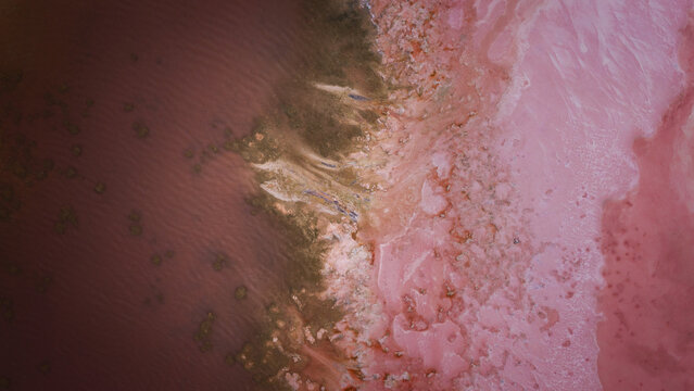Aerial view of the vibrant pink and deep red salt crust patterns of Hutt Lagoon, showcasing the unique mineral-rich water and textured shoreline in Yallabatharra, Western Australia, Australia.