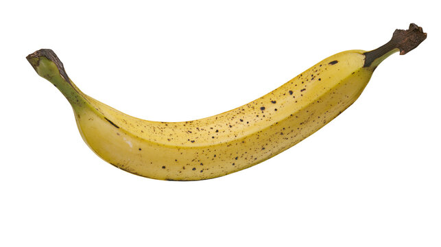 Isolated ripe yellow banana with natural brown spots, healthy sweet fruit snack